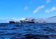 Petrolier grecesc, atacat de o dronă în Marea Neagră. La bord se afla și un marinar român