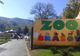 Program special pentru cei mici, astăzi, la Grădina Zoologică