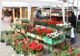 Care sunt zonele autorizate de Primărie, pentru comercializarea florilor, de 8 martie?