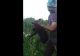 VIDEO Pui de urs chinuit de romi