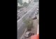 VIDEO Cal filmat în trafic, pe DN1