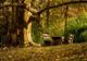 Încep lucrările la Parcul Dendrologic din cartierul Noua