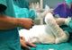 Femeie cu arsuri grave, internată la Brașov, dar operată la Iași, după două săptămâni! Ministrul Sănătății: "Medicii de la Brașov și-au făcut treaba"