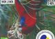 Expoziție națională de păsări exotice, de astăzi, la ZOO Brașov