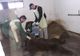 VIDEO Un urs rănit grav de mașină este îngrijit, acum, la Sanctuarul Libearty Zărnești