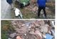 Bărbat amendat cu 3.000 de lei de jandarmi!