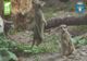 Copiii pot vizita gratuit, astăzi, Grădina Zoologică! Ultima intrare, la ora 19.15