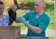 FOTO+VIDEO De astăzi, la Zoo Braşov puteți admira singurii pui de panda roşu din România