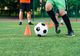 Ce sumă a alocat Primăria Braşov pentru proiectele de sport de masă şi de performanță?
