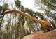 Jumătate de milion de turiști au ales Dino Parc Râșnov în 2021