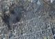 Bombardamente masive în Mariupol după expirarea ultimatumului făcut de ruși