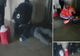 Bărbat MORT, azi-noapte, în Gara Brașov