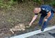 Căprioară salvată de jandarmi (VIDEO)