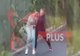 NOI IMAGINI ȘOCANTE cu atacul lui Reghecampf: Anamaria Prodan, sub "ploaia" de pumni și palme. MOMENTUL EXACT în care antrenorul și-a ieșit din minți