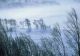 Urmează cea mai grea iarnă din ultimii zeci de ani - Avertismentul meteorologilor