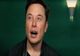 Șoc și groază! S-a aflat adevărul! Au petrecut sau nu, de Halloween, Elon Musk și Angelina Jolie, la Brașov?