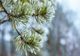 Astăzi temperaturile maxime se vor încadra între 2 şi 13 grade