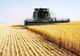 ROMÂNIA ÎNSUMEAZĂ 23% DIN FORȚA DE MUNCĂ ÎN AGRICULTURĂ DIN UE