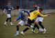 FC Brașov, victorie într-un meci amical