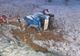 Accident cu victimă încarcerată, la Perşani