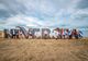Începe Neversea 2023. Măsuri de siguranță la festival. Ce restricții de circulație vor fi în vigoare