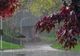 VREMEA 22 MAI. INSTABILITATE ATMOSFERICĂ ÎN APROAPE TOATE REGIUNILE