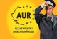 AUR a validat mai multe candidaturi pentru Consiliile Județene: Mugur Mihăescu, Ringo Dămureanu, Sorin Lavric. În ce județe vor candida