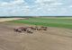 AGRICULTURA ROMÂNEASCĂ, ÎN PERICOL: FERMELOR LI SE ÎNCHID ORIZONTURILE