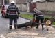 Vântul puternic a creat probleme în Brașov și Harghita