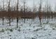 Sprijin financiar pentru agricultorii afectați de condiții meteo extreme