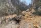 Alunecare de teren într-o zonă turistică din Brașov. Există riscul prăbușirii mai multor arbori